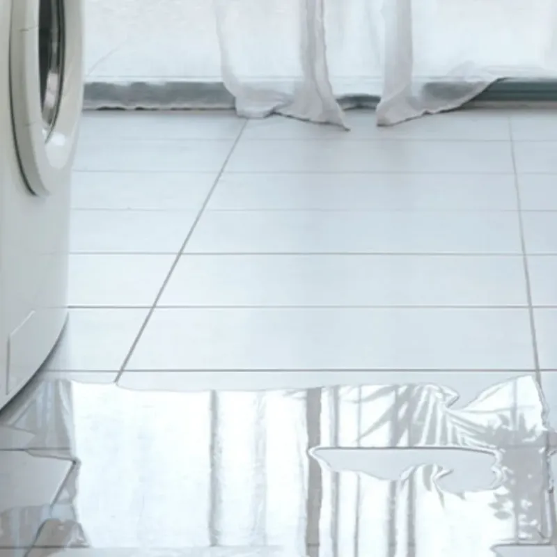 Appliance Leak Cleanup in Floral City, FL