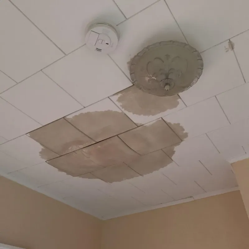 Ceiling Water Damage Repair in Floral City, FL