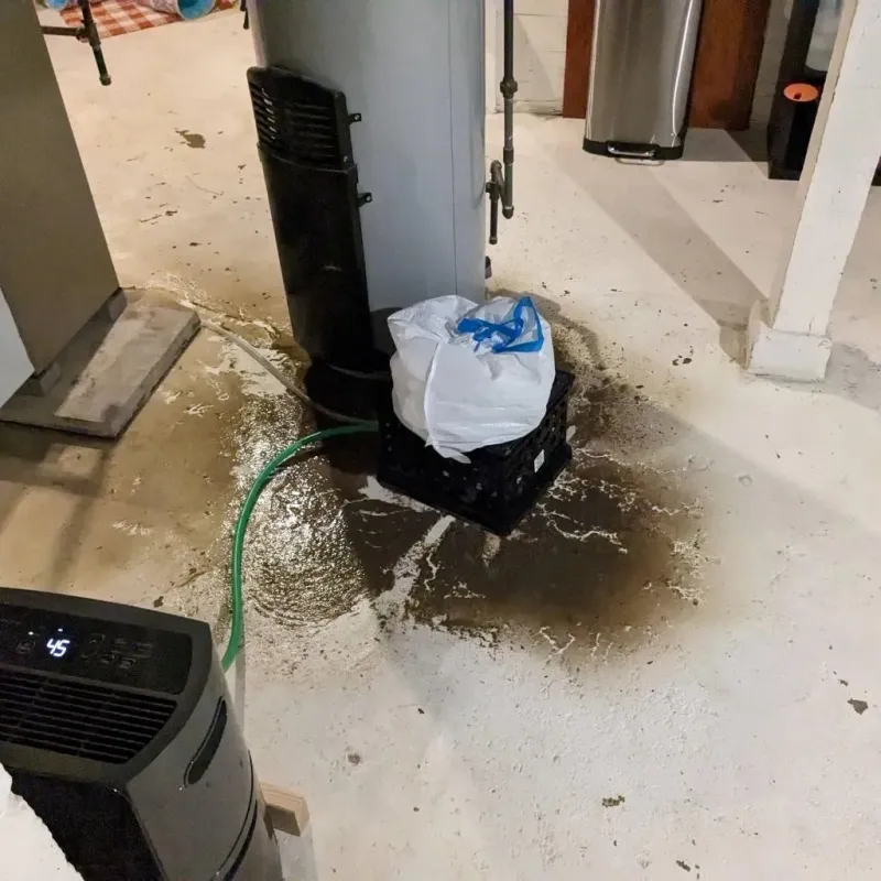 Sewage Backup Cleanup Service in Floral City, FL